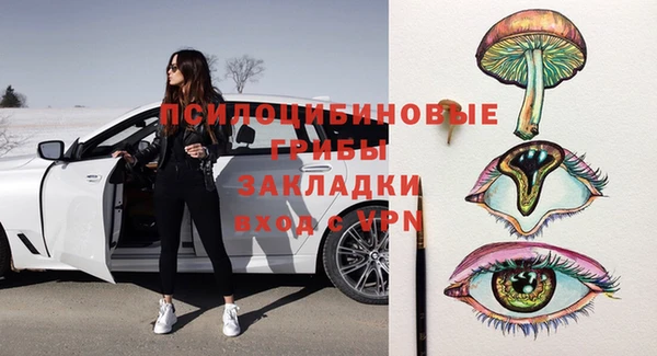 ECSTASY Липки