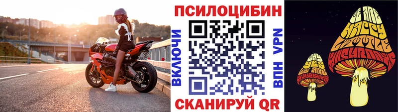 Псилоцибиновые грибы Magic Shrooms  Купить  Поронайск 