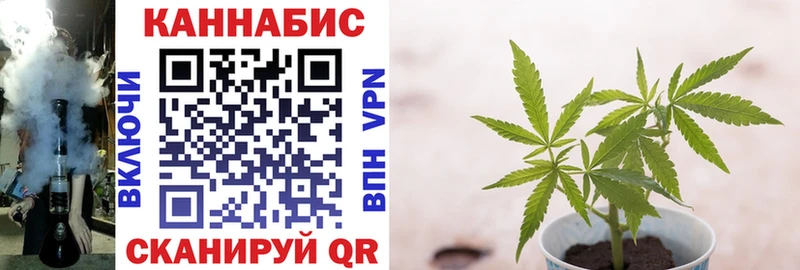 Купить где  Поронайск  Канабис Bruce Banner 